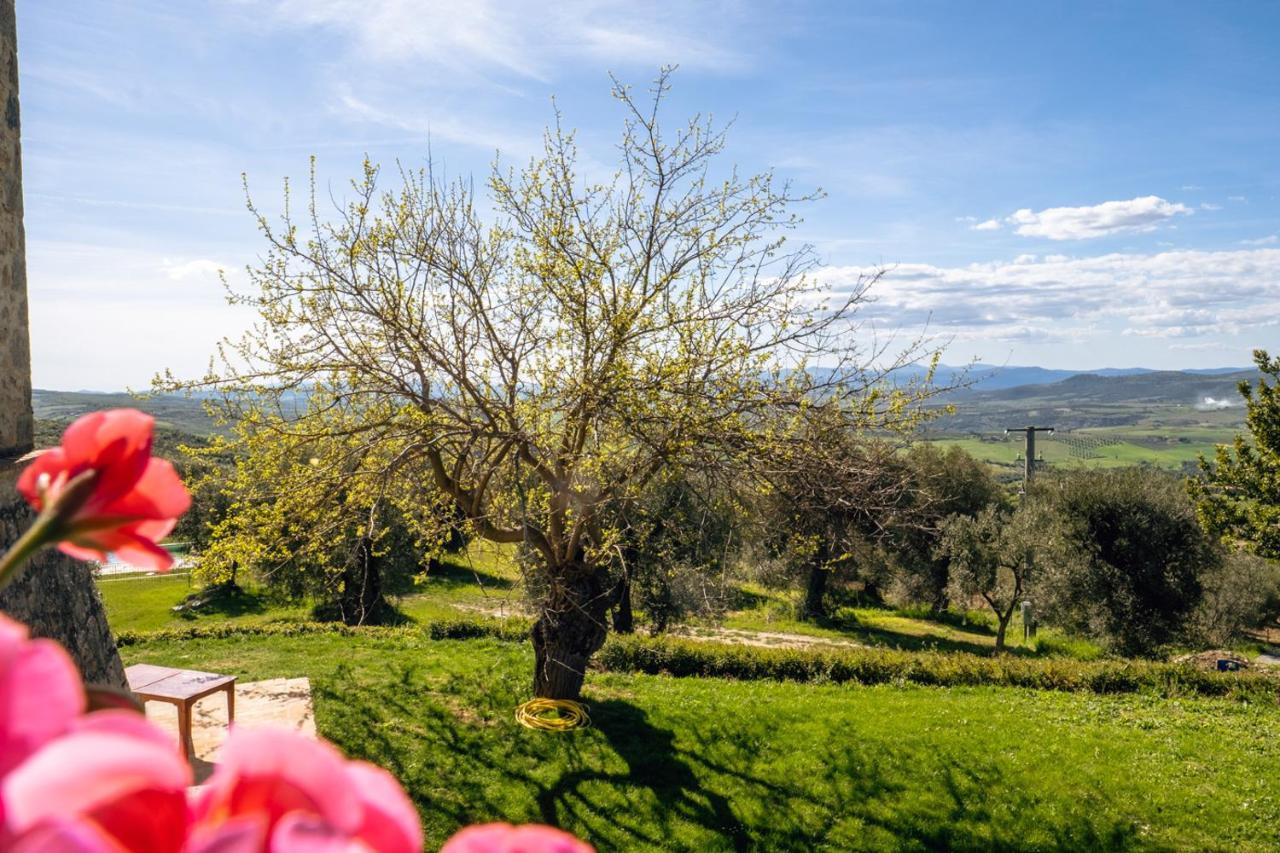 Podere Montale Il Borgo Seggiano Exteriér fotografie